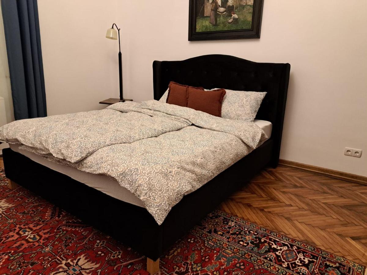 Weisz Apartment-City Center-Free Private Parking,Wifi,Ac Carei Buitenkant foto