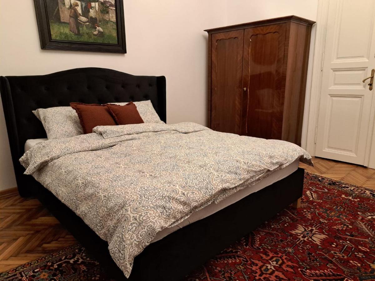 Weisz Apartment-City Center-Free Private Parking,Wifi,Ac Carei Buitenkant foto