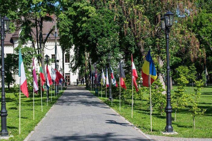 Weisz Apartment-City Center-Free Private Parking,Wifi,Ac Carei Buitenkant foto
