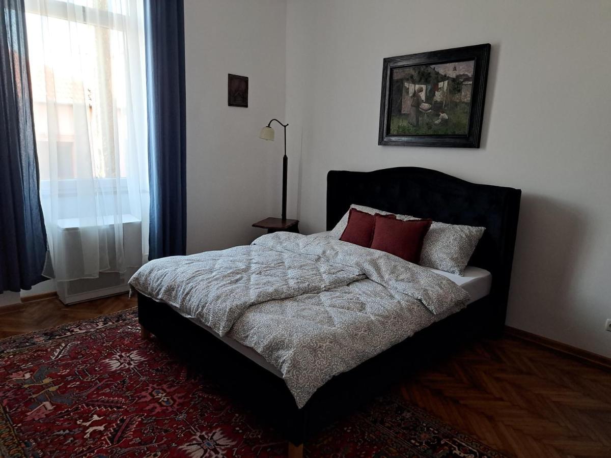 Weisz Apartment-City Center-Free Private Parking,Wifi,Ac Carei Buitenkant foto