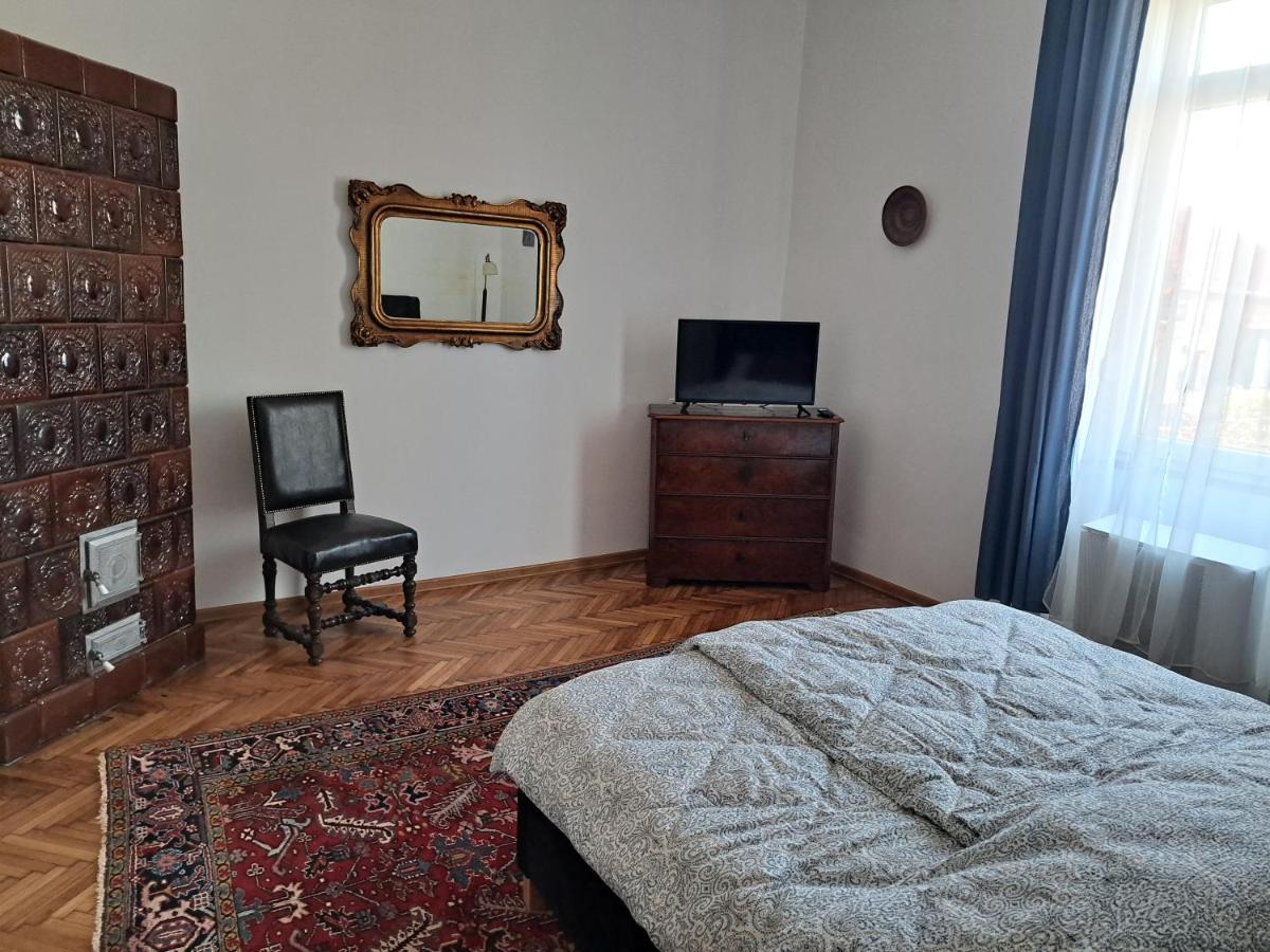 Weisz Apartment-City Center-Free Private Parking,Wifi,Ac Carei Buitenkant foto