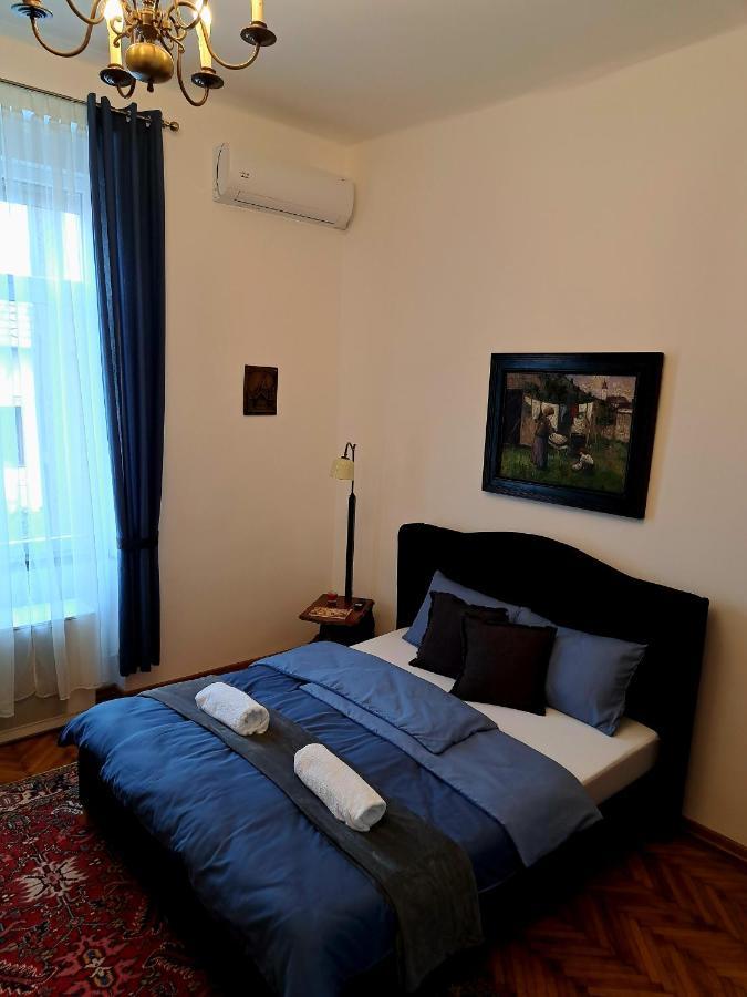 Weisz Apartment-City Center-Free Private Parking,Wifi,Ac Carei Buitenkant foto