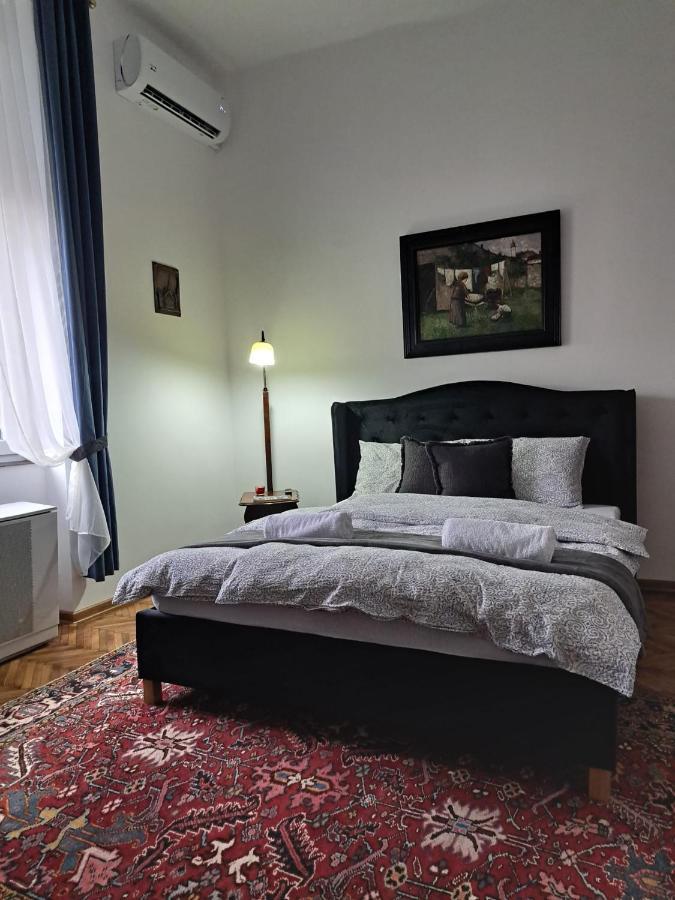 Weisz Apartment-City Center-Free Private Parking,Wifi,Ac Carei Buitenkant foto